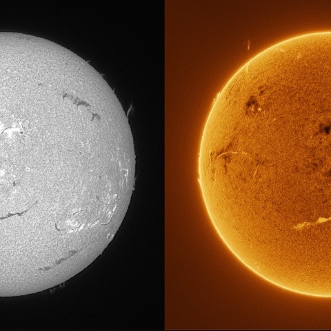 Sun in H-alpha on February 12, 2026