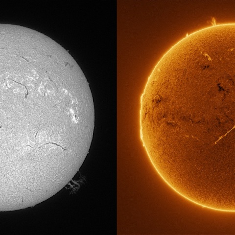 Sun in H-alpha on February 19, 2026
