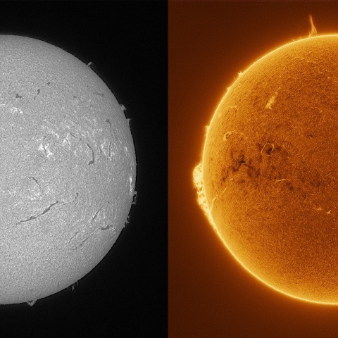 Sun in H-alpha on February 21, 2026