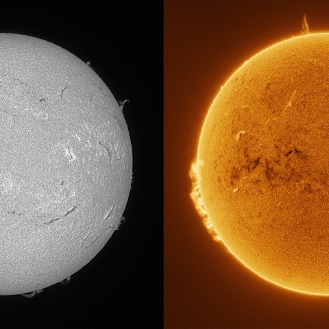 Sun in H-alpha on February 22, 2026