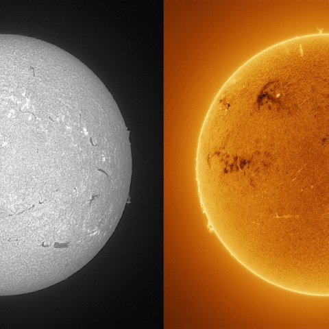 Sun in H-alpha on March 1, 2026