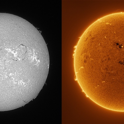 Sun in H-alpha on March 7, 2026