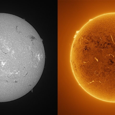 Sun in H-alpha on June 19, 2026