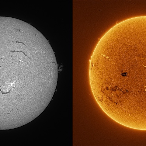 Sun in H-alpha on July 20, 2026