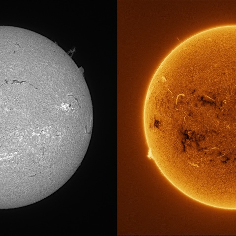 Sun in H-alpha on July 25, 2026