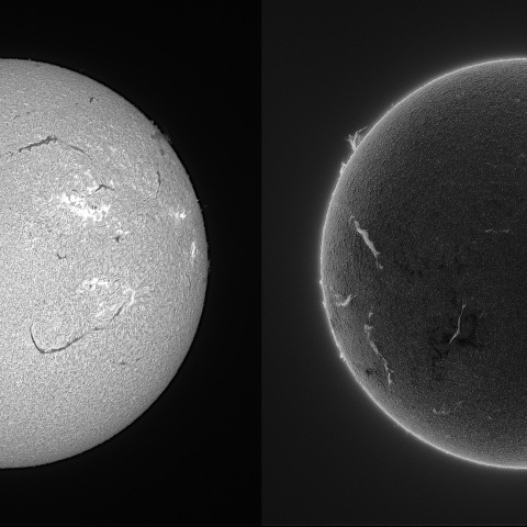 Sun in H-alpha on August 5, 2026 -monochrome-