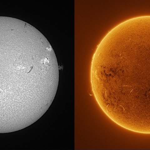 Sun in H-alpha on August 19, 2026