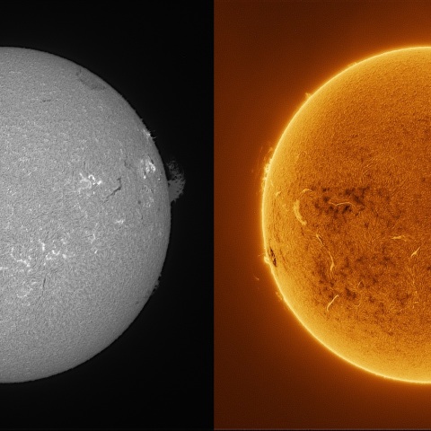 Sun in H-alpha on August 20, 2026