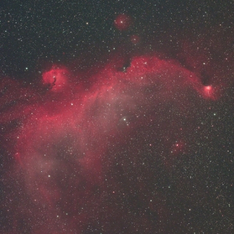 IC2177 カモメ星雲