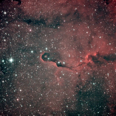 vdB142 象の鼻星雲