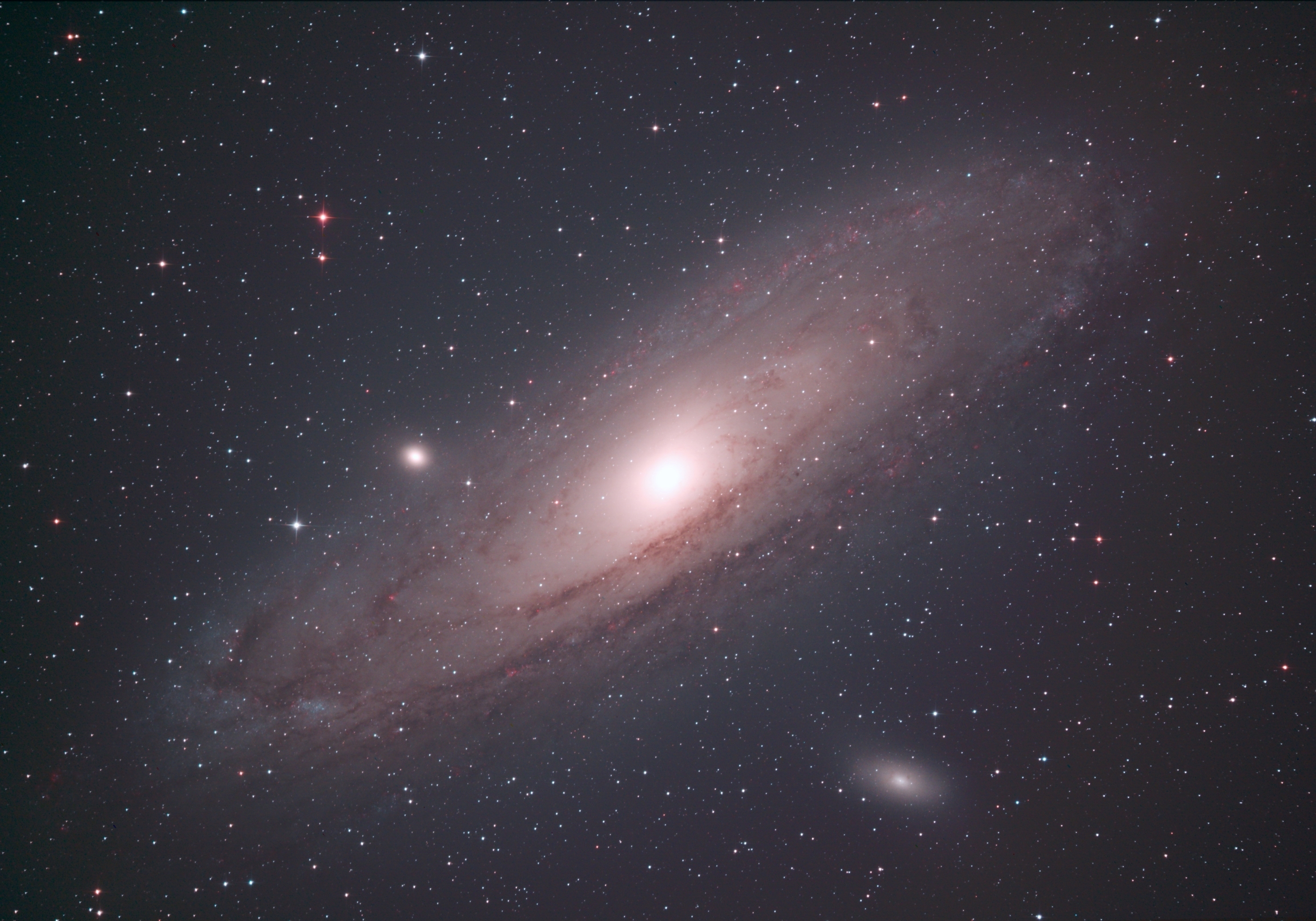 88244: M31 アンドロメダ銀河 by Chisakari - 天体写真ギャラリー