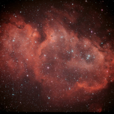 IC1848 胎児星雲
