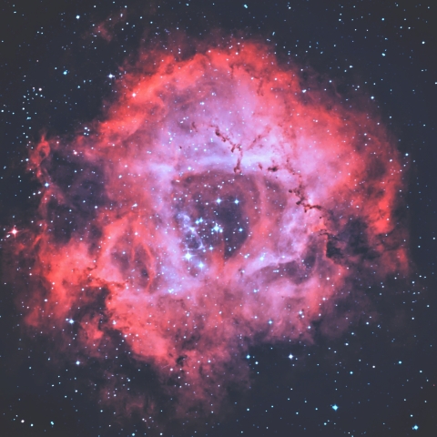 NGC2237 ばら星雲