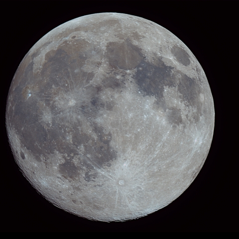 Worm Moon／イモムシ月