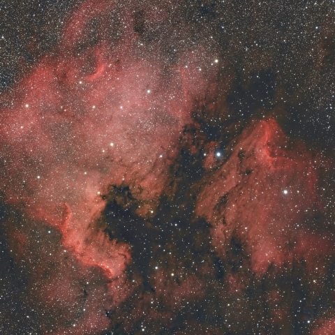 北アメリカ星雲 ペリカン星雲 