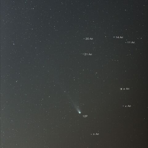 4月2日の12P(Pons-Brooks)