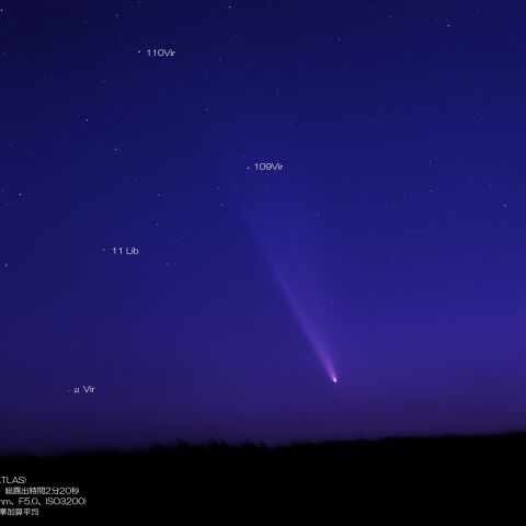 10月13日の紫金山・アトラス彗星