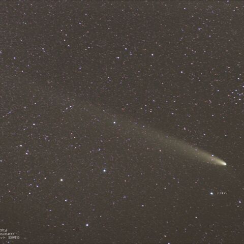 紫金山・アトラス彗星（10月29日）