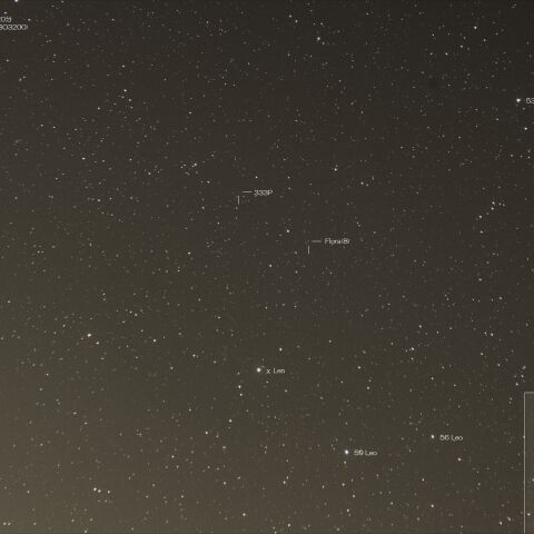 333P(LINEAR)と小惑星8番(Flora)