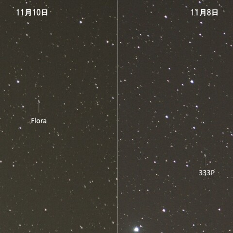 333P(LINEAR)と小惑星8番(Flora)の2日間の移動