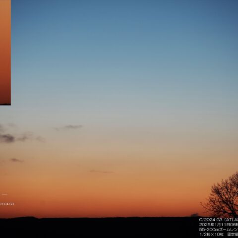 ATLAS彗星（1月11日）