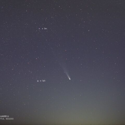 11月12日のC/2025 A6(Lemmon)