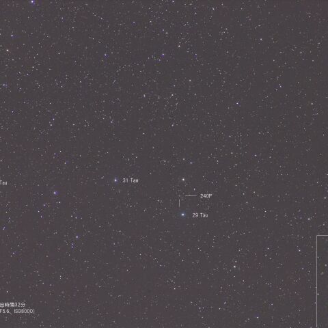 11月23日の240P(NEAT)