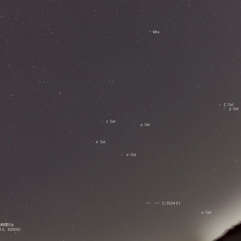 C/2024 E1(Wierzchos)とMira