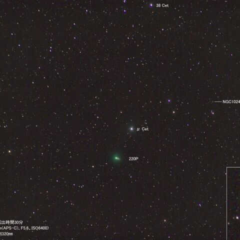 8月10日の220P(McNaught)