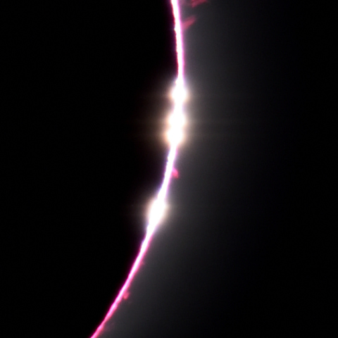 ベイリー・ビーズ？