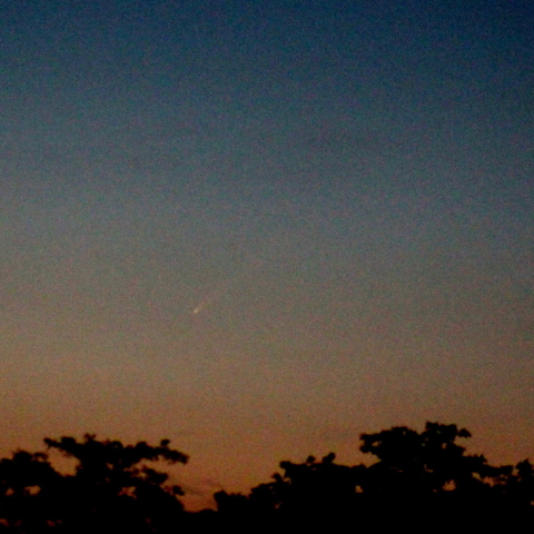 紫金山アトラス彗星