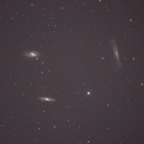 M65.66.NGC3628