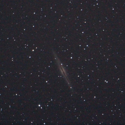 NGC891