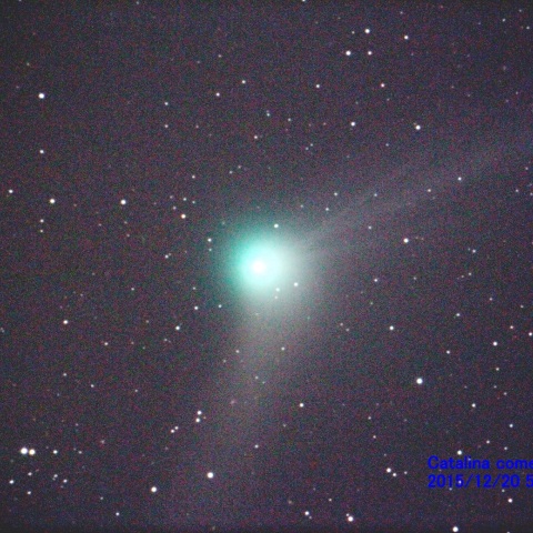 カタリーナ彗星