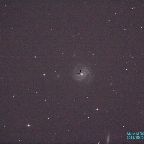 SN in M100