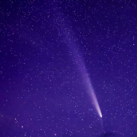 紫金山・アトラス彗星_20241021