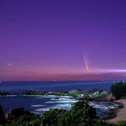 紫金山・アトラス彗星_20241013