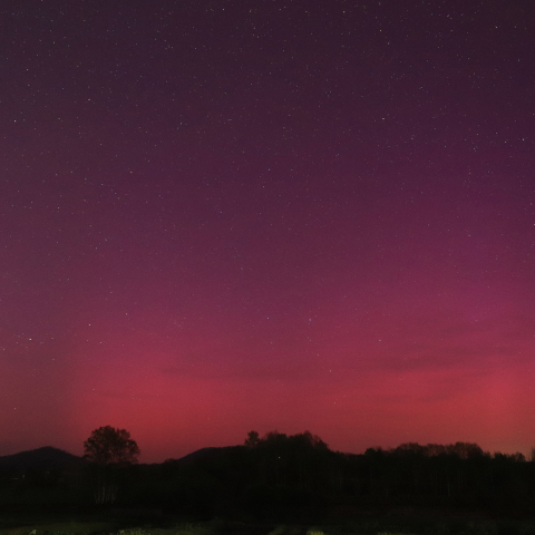 赤く染まる 沈まないカシオペア座(2024/05/11) 北緯43度