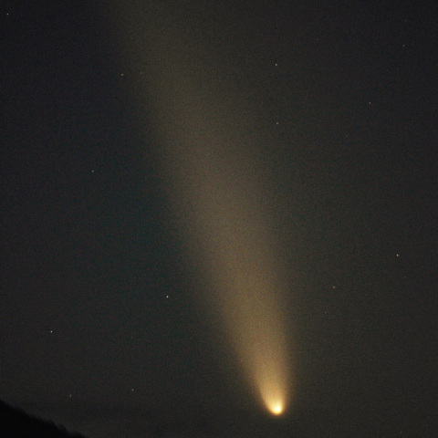 紫金山・アトラス彗星（C/2023A3）