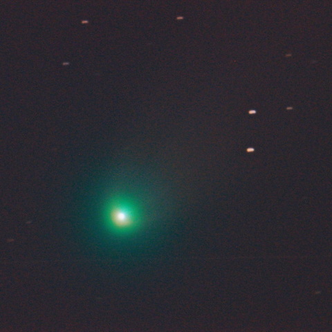 レモン彗星(C/2025 A6)