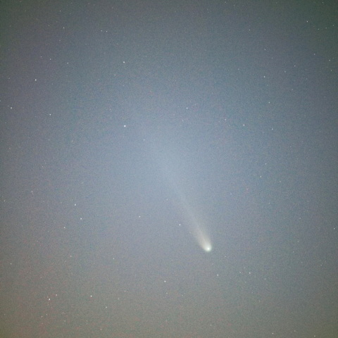 レモン彗星(C/2025 A6)