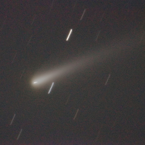 アトラス彗星(C/2025 K1)