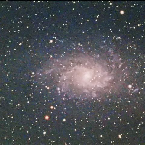 M33