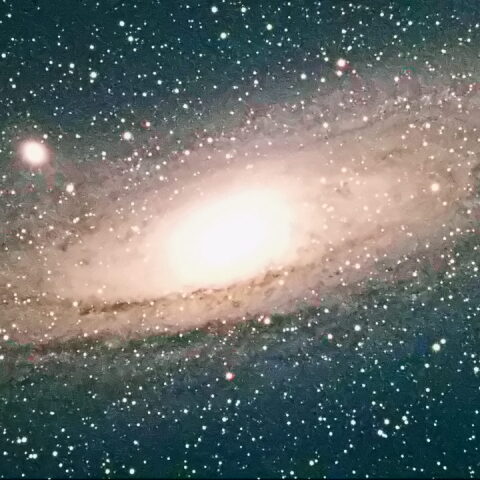 M31