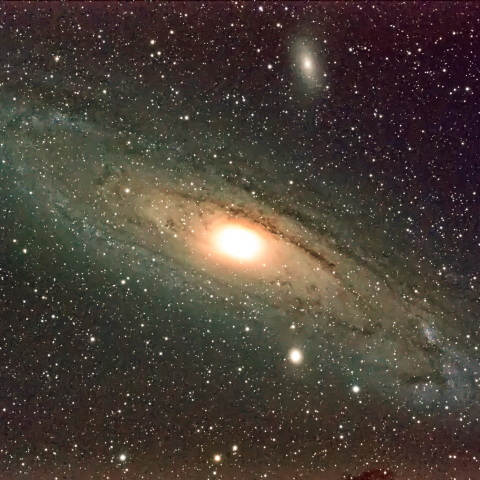 M31
