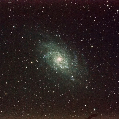 M33