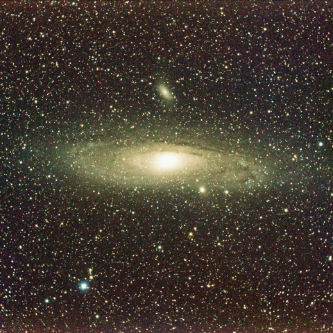 M31
