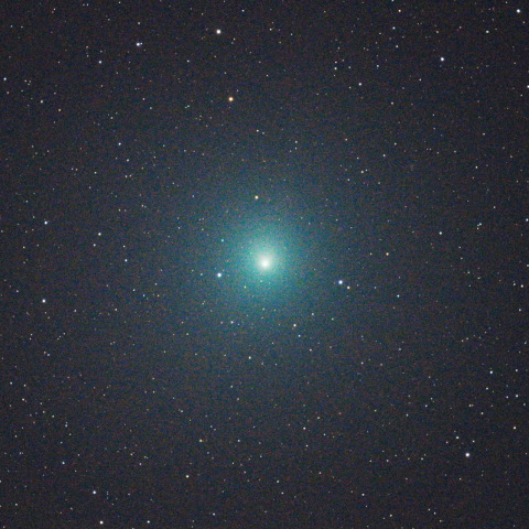 ウィルタネン彗星