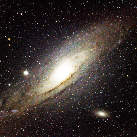M31