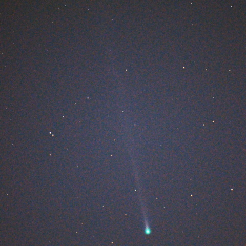 西村彗星(C2023 P1)